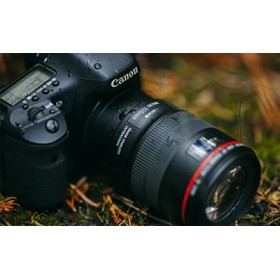 Canon Lens EF 100mm f/2.8L Macro IS USM